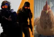 Valve แอบใส่ระบบเลี้ยงไก่ลงในเกม Counter-Strike 2 ผู้เล่นสามารถฟักไข่ ให้อาหาร เลี้ยงดูจนโตได้